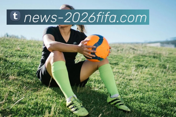 世界杯竞彩平台生态图